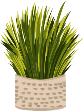 Plants in a rattan basket